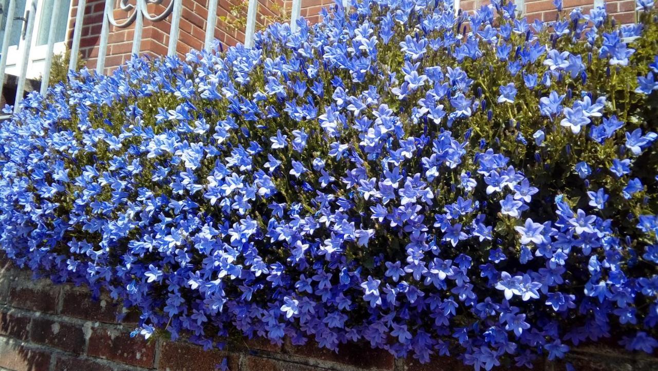 Hotel Lavender House Bridgend  Esterno foto