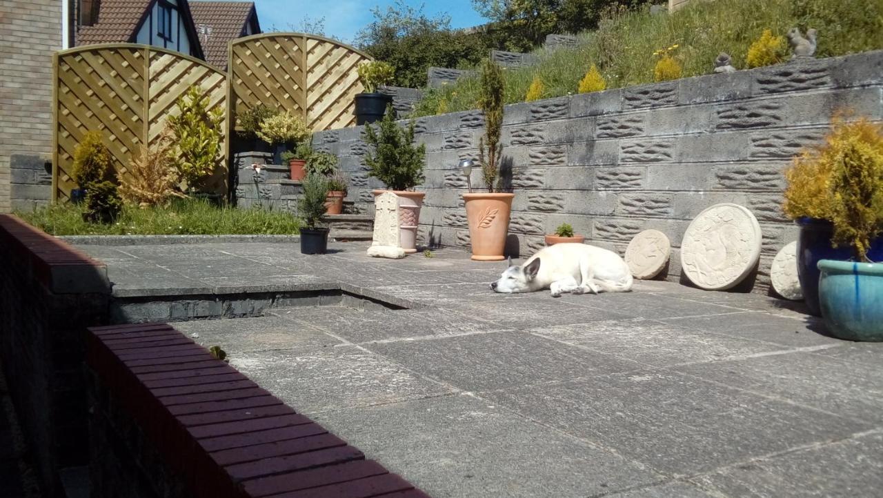 Hotel Lavender House Bridgend  Esterno foto